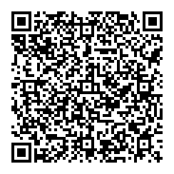 Bruce Gillis QR vCard