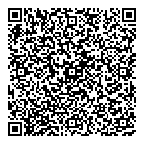Straight-line Painting QR vCard