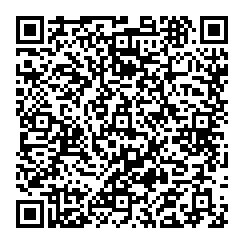 Bing Nan Chen QR vCard