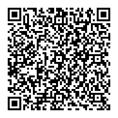 Dave Iarusso QR vCard
