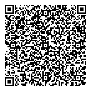 Dcl Engineering QR vCard