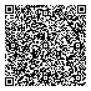 Chinese Gourmet Take-out QR vCard