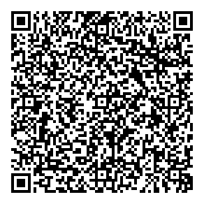 Public's Auto Sales QR vCard